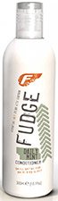 Fudge DAILY  MINT CONDITIONER